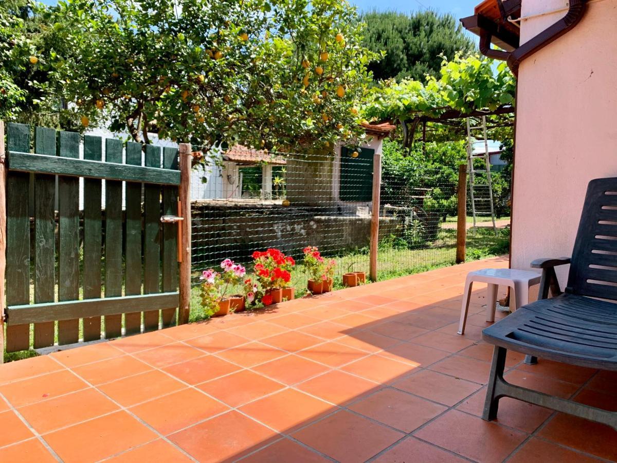 Casa do Paço Aveiro HolidayHome Extérieur photo